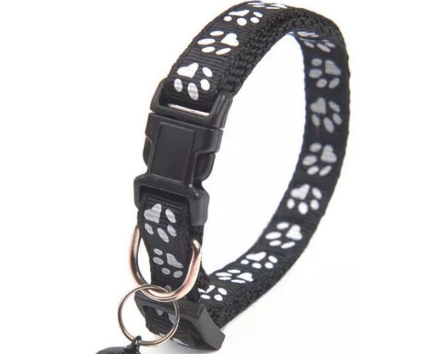 Потерялась собака