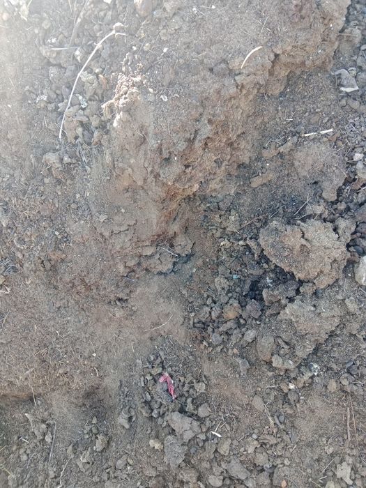 Продам навоз пос. Россоахоз мешок 200  тенге