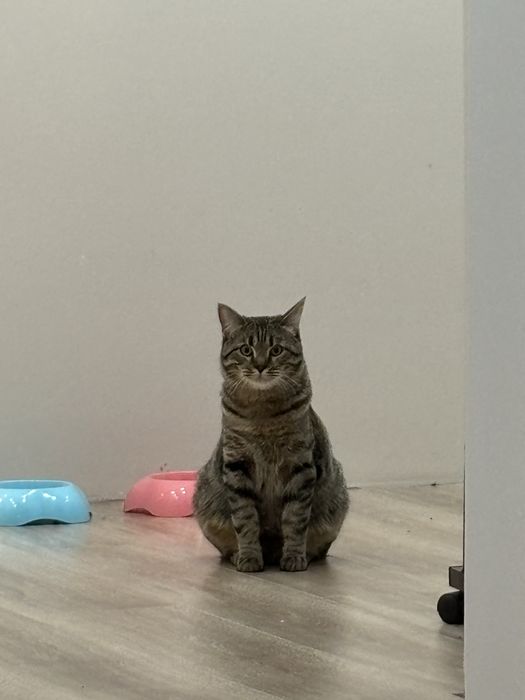 СРОЧНО! Ищем нового хозяина