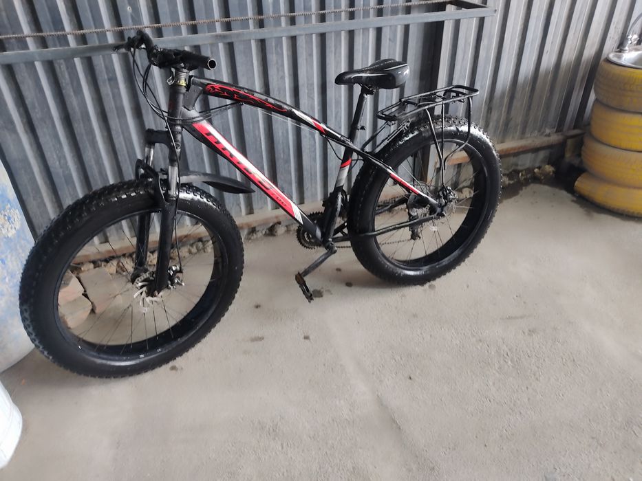 Baloni kotta valasepet narxi kelshamiz