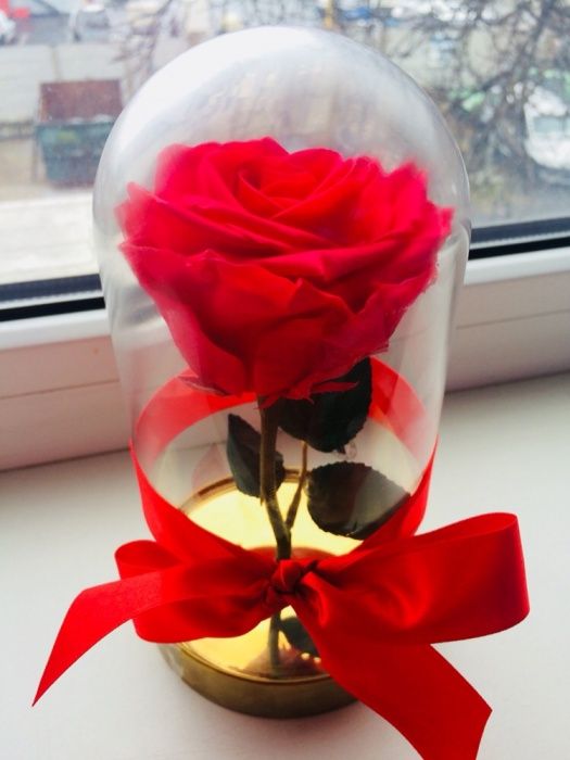 Trandafir rosu roze xxl 150 lei