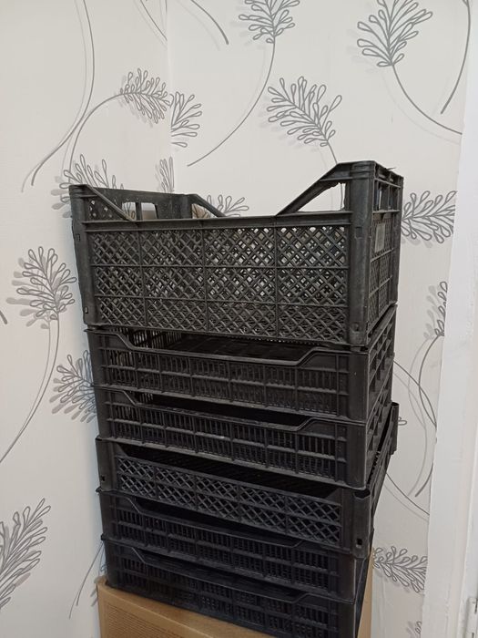 Продам пластиковые ящики