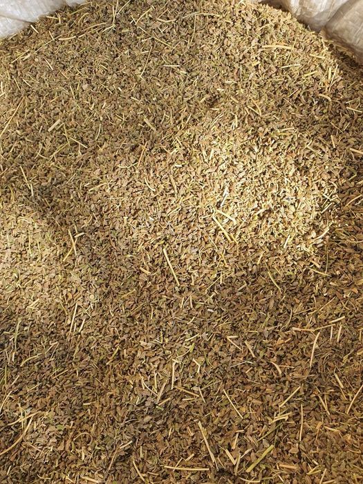 Sabzi uruģi sotiladi