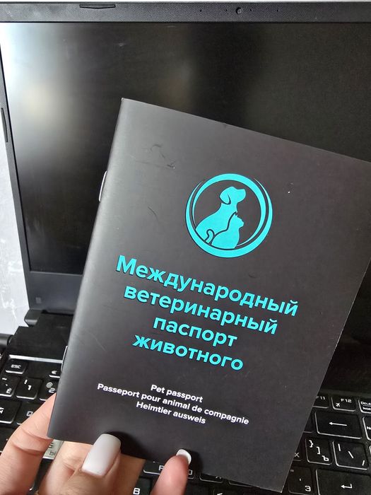 Щенок подрощеный