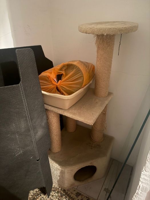 Продается домик для котят и принадлежности