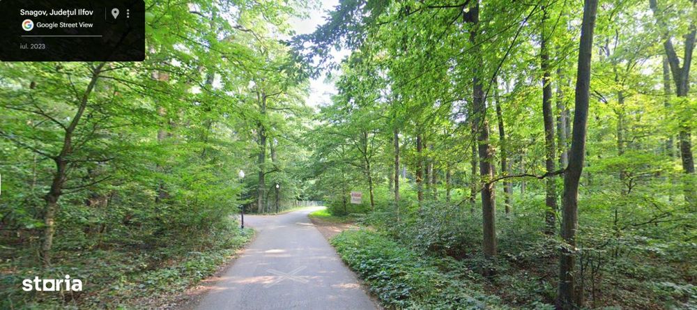 Teren de Vis pe malul lacului Snagov / 4000 mp in inima Naturii /40 m