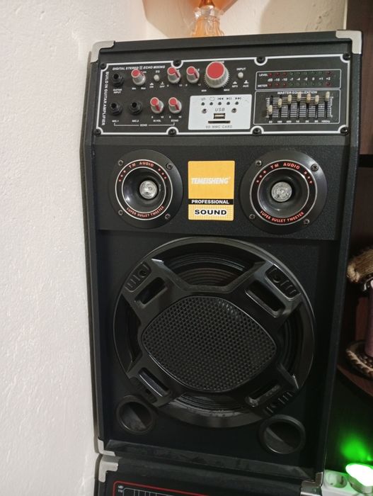 Sistem audio activ Temeisherg DP-2329