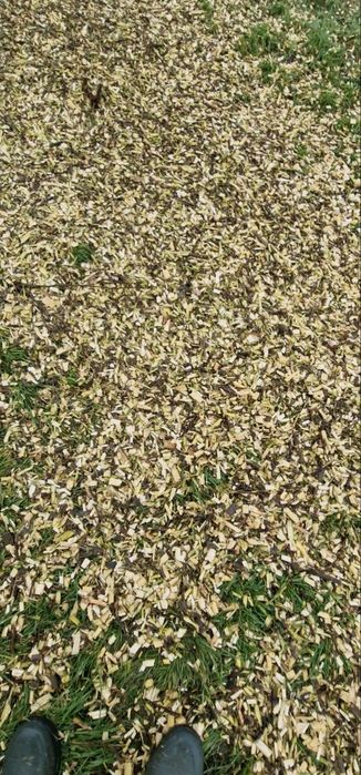 Tocator cregi/vegetatie