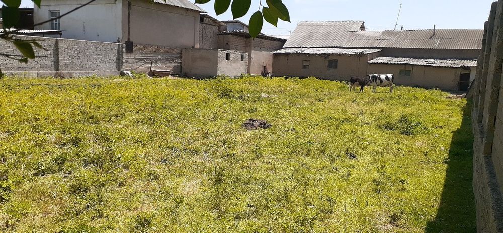 Етти сотихли ер сотилади