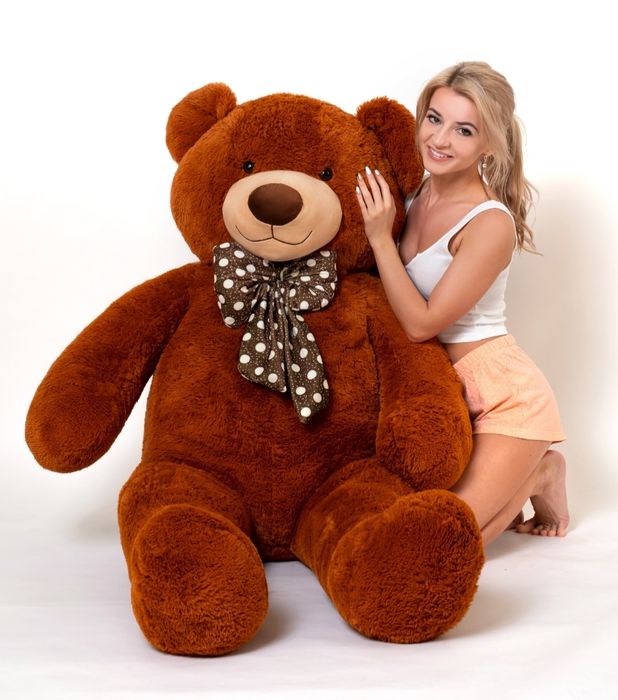 Европейский плюшевый мишка