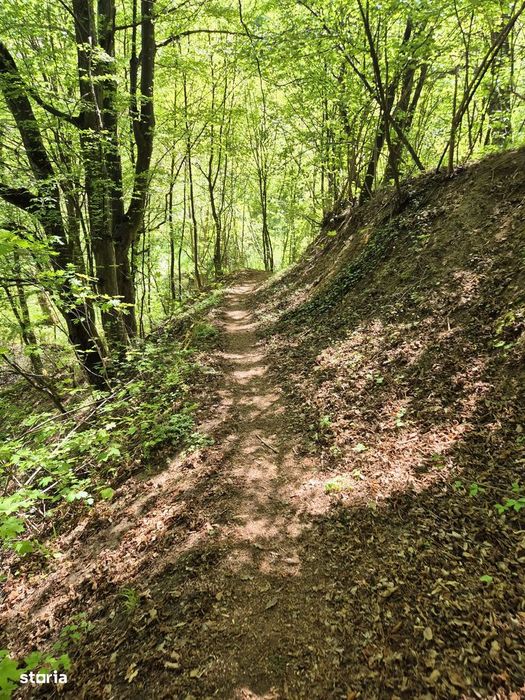 Teren 1577 mp, intravilan Schei, Brasov