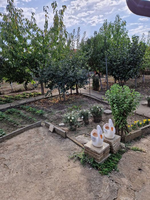 Продава се Къща в с. Ясен, Област Плевен - 40 кв.м за 1875 €/кв.м - Снимка #10