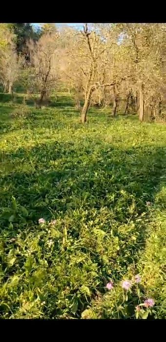 Super oferta valabila doar luna aceasta.Teren de vanzare Calimanesti