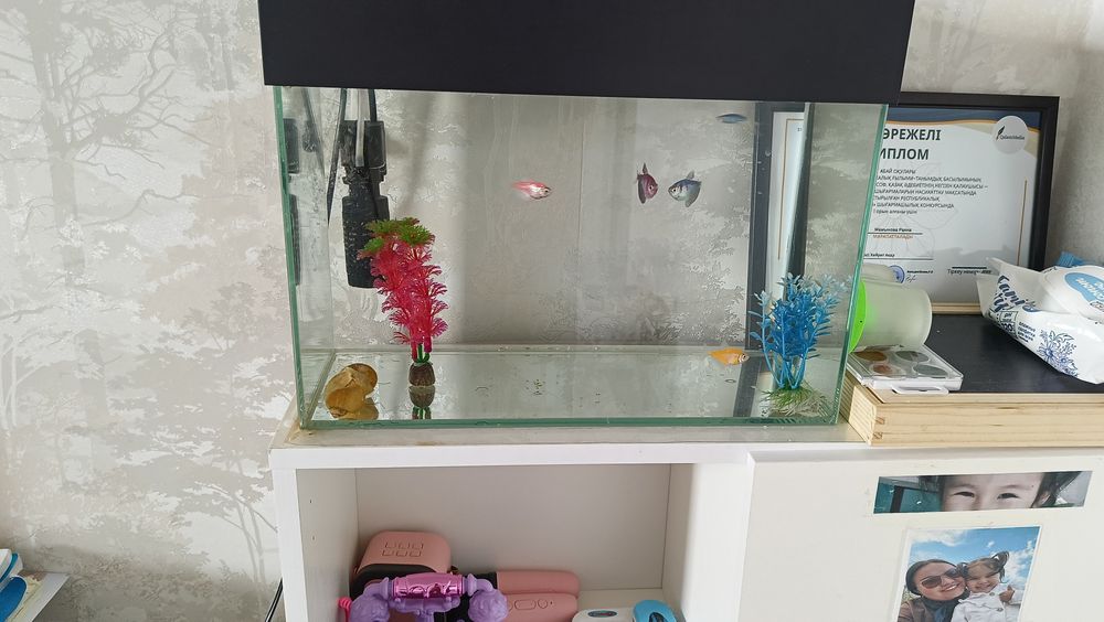 Продам аквариум с рыбками