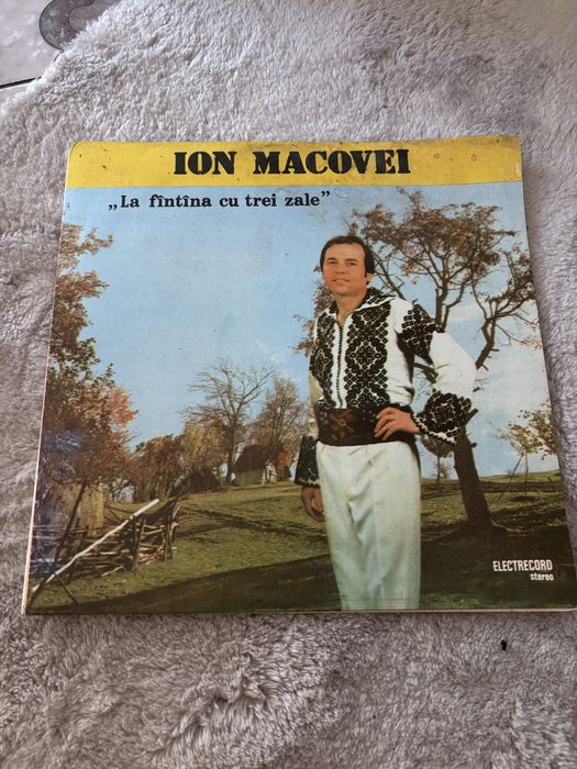 Discuri vinilin