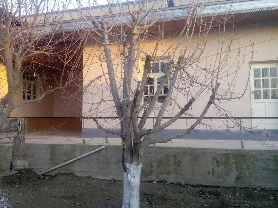 Ховли сотилади тезкор