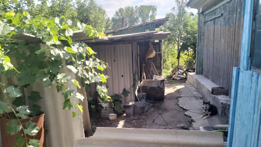 Продам дом в Шемонайхе