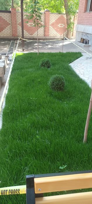 Ландшафтный дизайн Садовник благоустройство