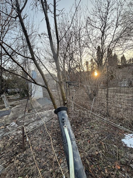 Обработка сада и кустарников