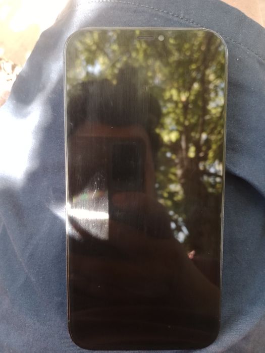 Iphone 12 pro max