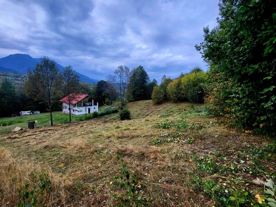 Teren  Arșița Poienii