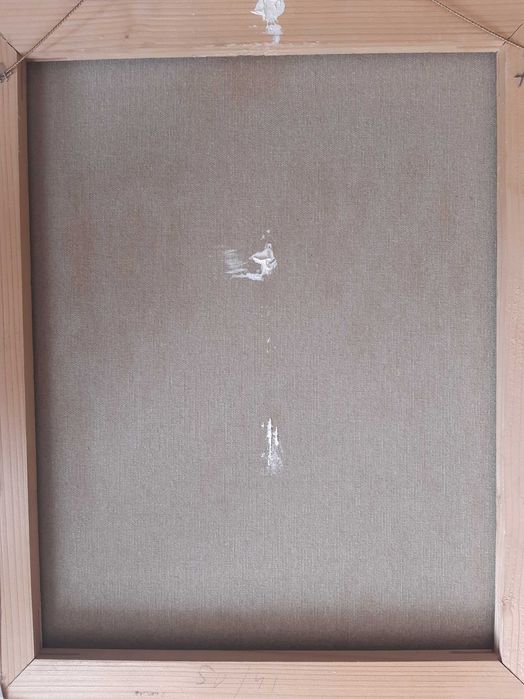 Картина проф. Вихрони Попнеделев