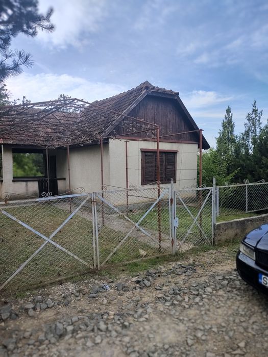 Casă de vacanță Satu Mare