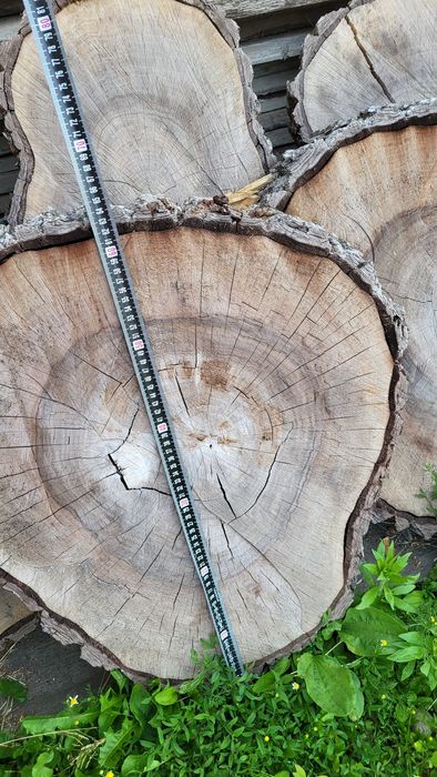 Bucăți felii din lemn de nuc