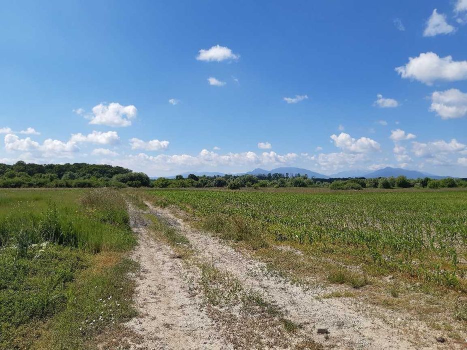 Teren agricol extravilan Podu Oltului la limita UAT Harman si UAT Prejmer (Lunca Calnicului) 2 euro mp