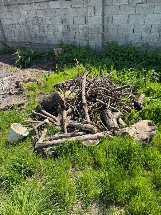 Отынға ағаштар, бұталған дайын