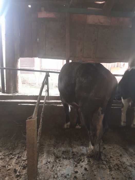 520000 находится в ровном