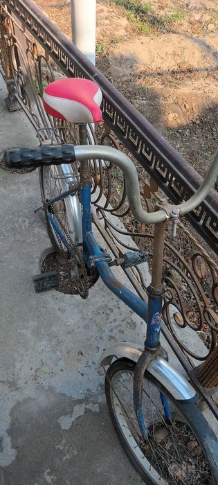 Velosiped kattalar va bolalar uchun