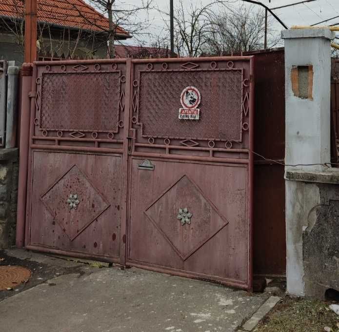 Poarta casa pentru curte