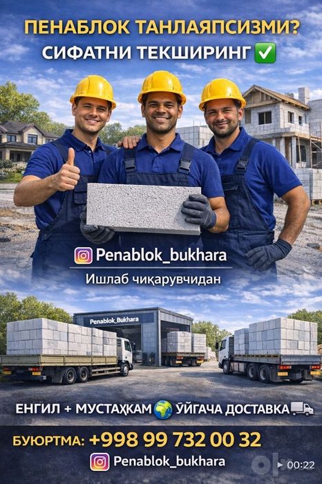 Пенаблок 60 30 20