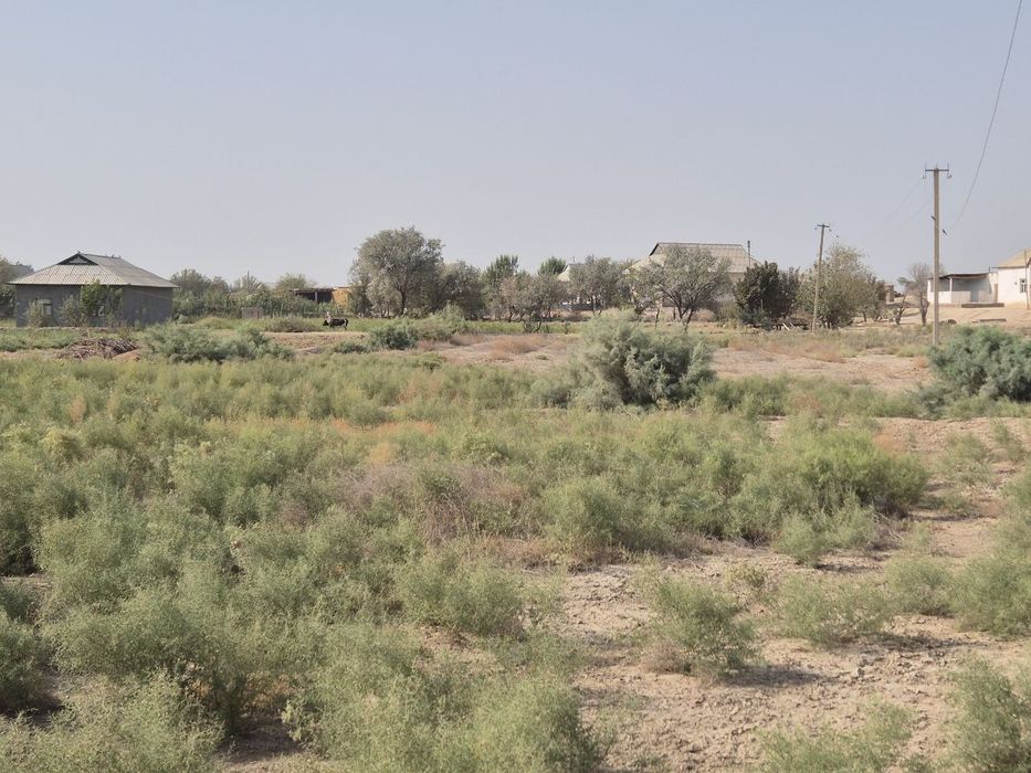 Tadbirkorlik faoliyatini boshlash uchun  yer sotiladi