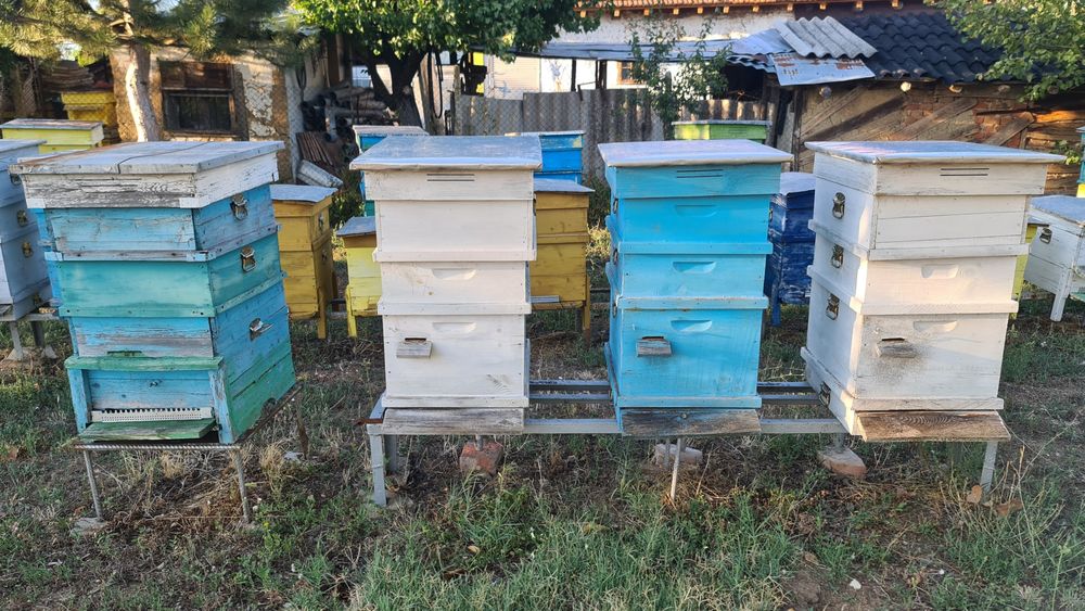 Кошери, сандъци за пчели