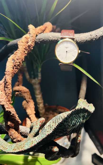 Longines  la grande classique