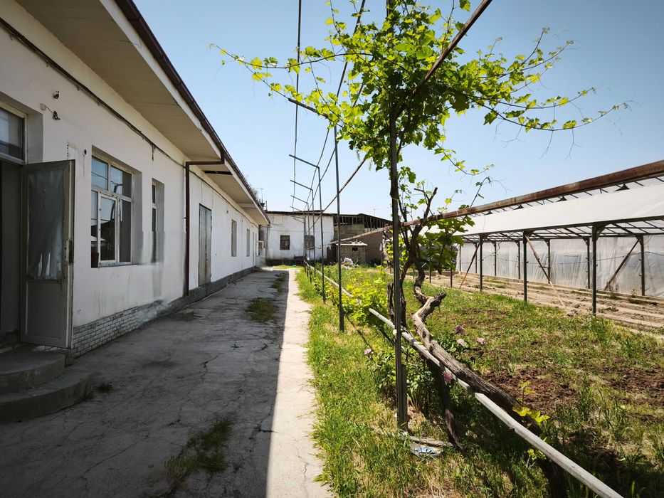 Yu  Продаётся участок 1.11га , Зангиатинский р-н, п.Кахрамон