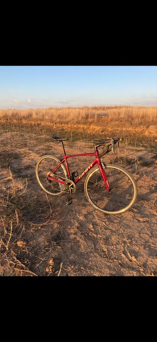 Шоссеник,Giant content 1