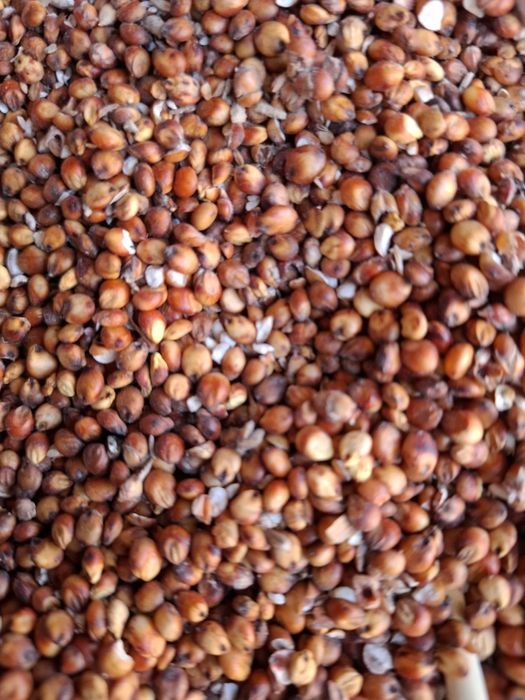 Vand SORG  .detalii la telefon