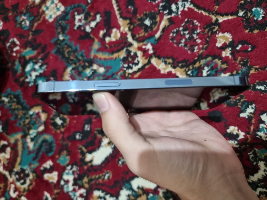 Iphone 13 Pro Max 256gb