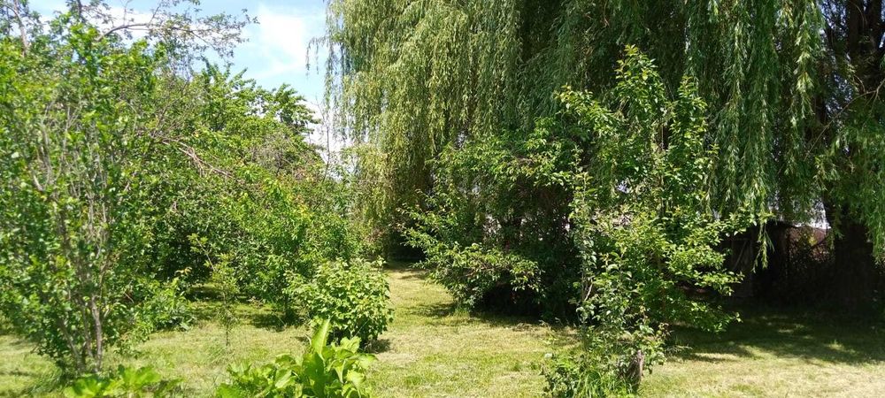 Продам дом  с участком 12 соток