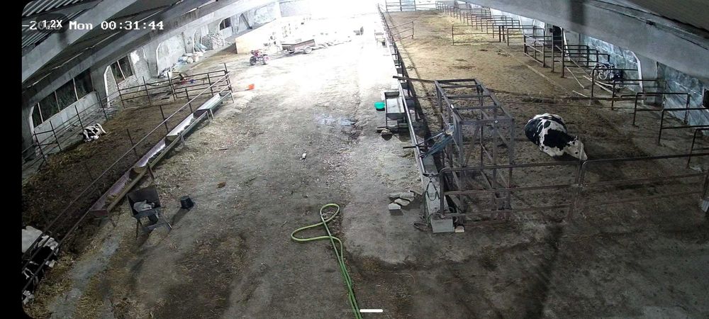 Продается ферма с земельным участком 28,3 га. Окадре 6 км от Лоиша