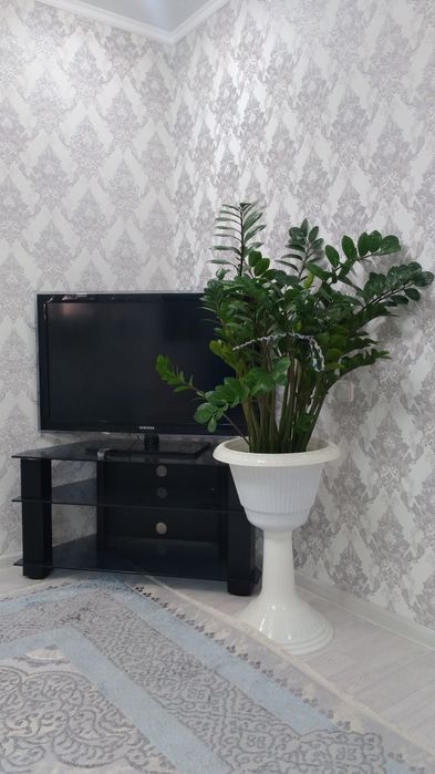 Замиокулькас долларовое дерево