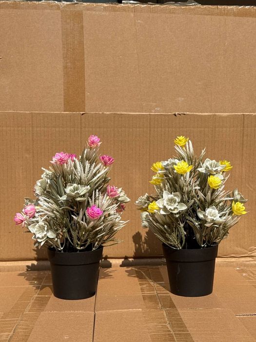 Тувак гулчалар оптими