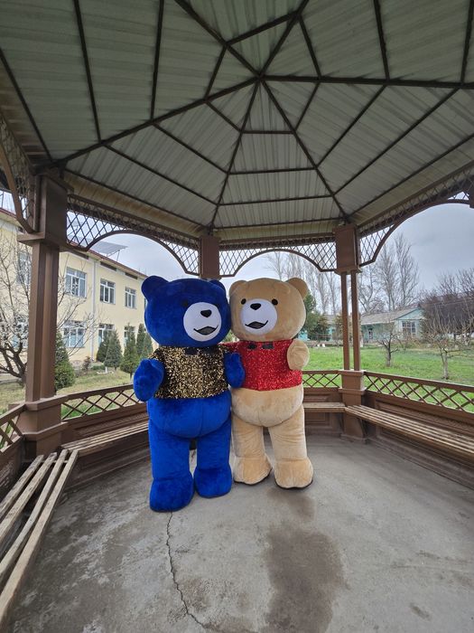 Ayqlar sotiladi yangi donasi 300$