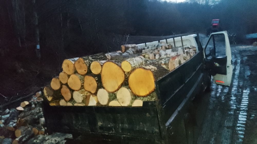 Lemn de foc esență tare