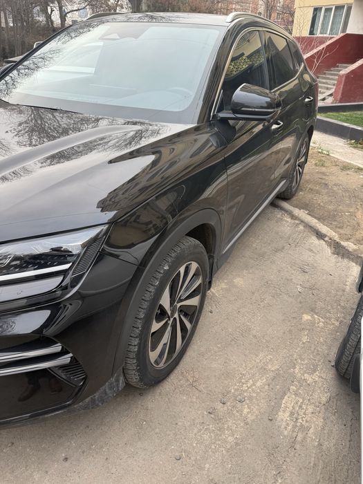 Byd chempion gibrid 150