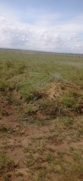 Земельный участок