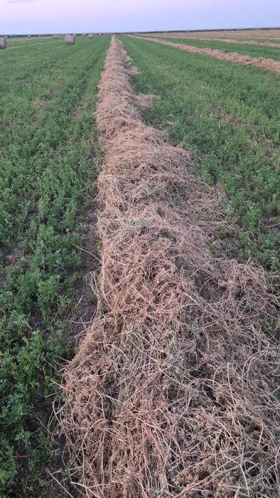 Baloti Lucerna 120/120 de vanzare